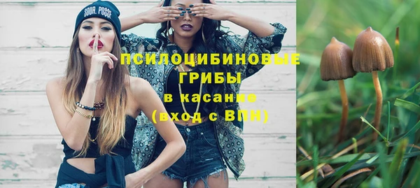 трава Аркадак