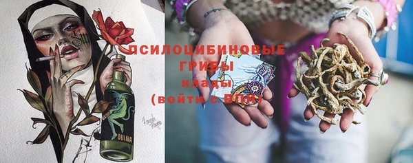 трава Аркадак