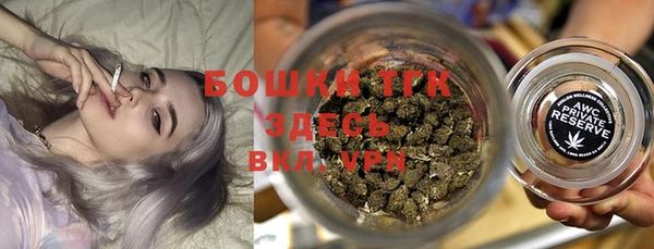 молекула духа Арсеньев