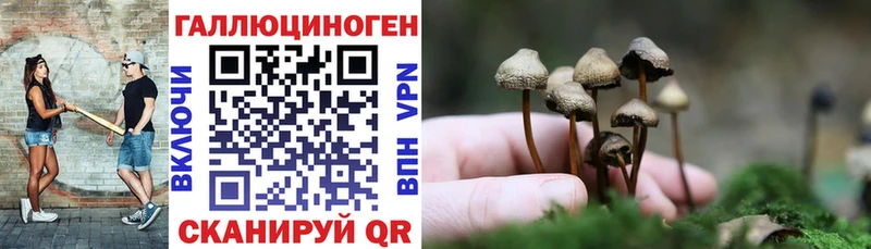 купить наркотики сайты  Зима  Псилоцибиновые грибы мицелий 