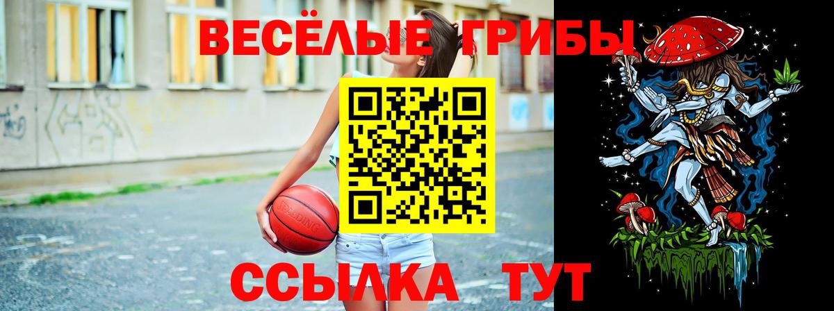 Псилоцибиновые грибы Cubensis Зима