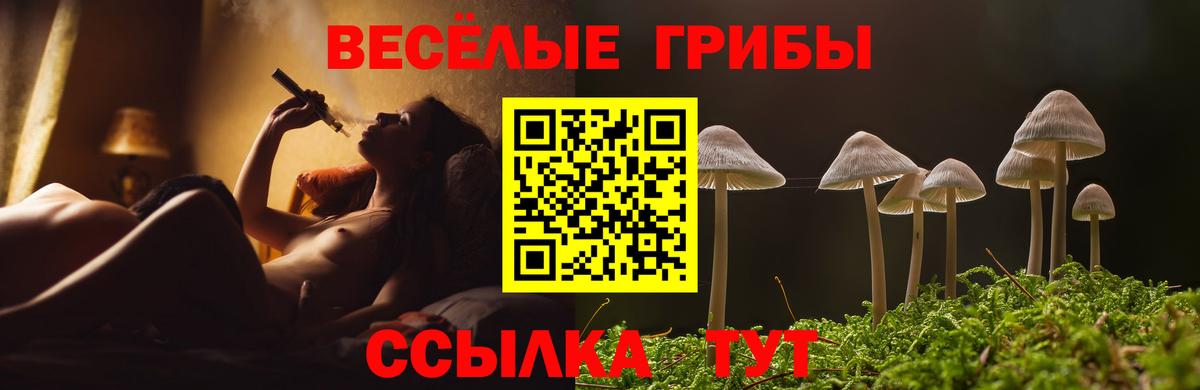 Псилоцибиновые грибы ЛСД  Вход с VPN  купить  сайты  Псилоцибиновые грибы GOLDEN TEACHER  Зима 